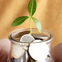 Mano sosteniendo frasco con monedas y una pequeña planta verde creciendo encima