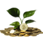 Planta verde creciendo entre monedas con símbolo de bitcoin